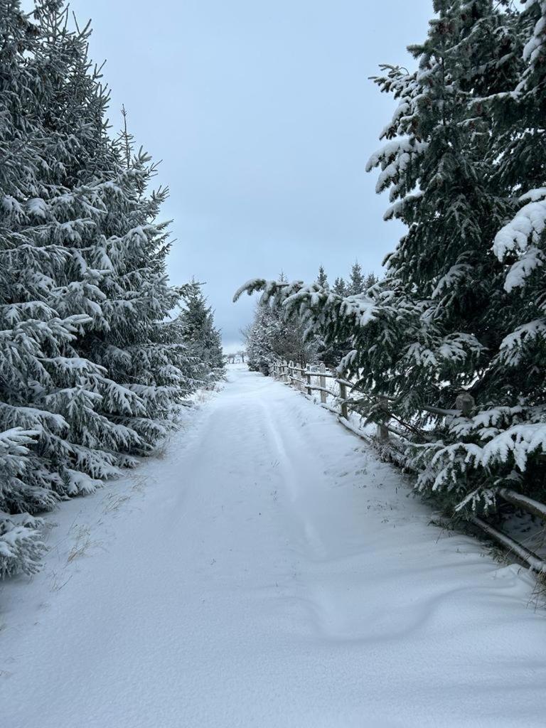 Sowi Sierp W Gorach Sowich Chalet *